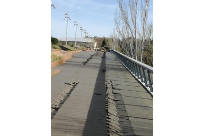 Puente de Santa Teresa. E.M.