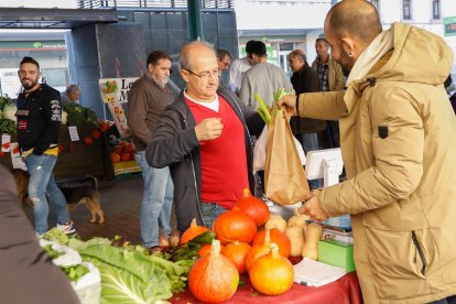 El ecomercado de Plaza España celebró La Fiesta de la Calabaza. J.M.LOSTAU