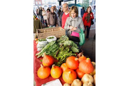 El ecomercado de Plaza España celebró La Fiesta de la Calabaza. J.M.LOSTAU