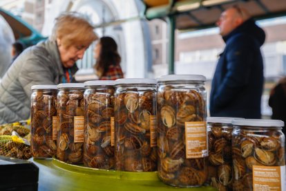 El ecomercado de Plaza España celebró La Fiesta de la Calabaza. J.M.LOSTAU