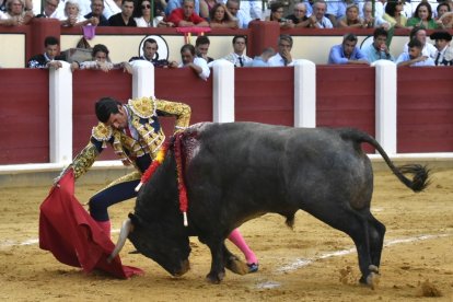 . -JOSÉ SALVADOR