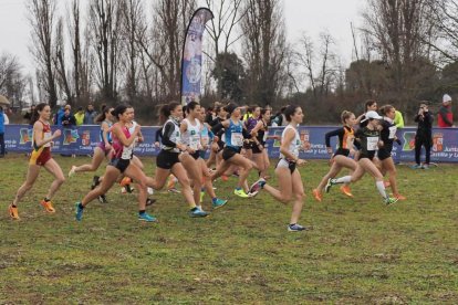 Cross Internacional Ciudad de Valladolid 2024. / PHOTOGENIC