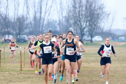 Cross Internacional Ciudad de Valladolid 2024. / M. ÁLVAREZ