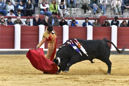 Imágenes de la novillada con motivo de la feria de San Pedro Regalado. JOSÉ SALVADOR