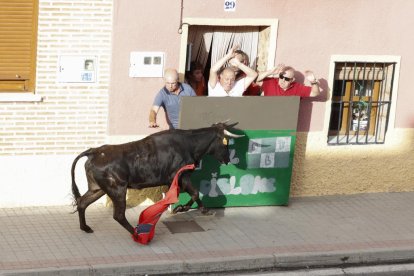 Toro de la vendimia. PHOTOGENIC/CARLOS LLORENTE