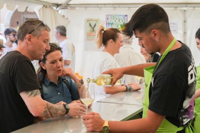 Feria del Vino en la Fiesta del Verdejo de La Seca.- J.M. LOSTAU