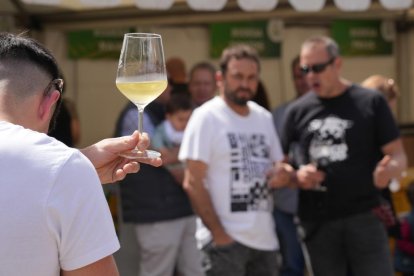 Feria del Vino en la Fiesta del Verdejo de La Seca.- J.M. LOSTAU