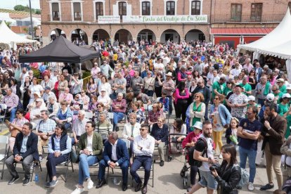 Fiesta del Verdejo en La Seca.- J.M. LOSTAU