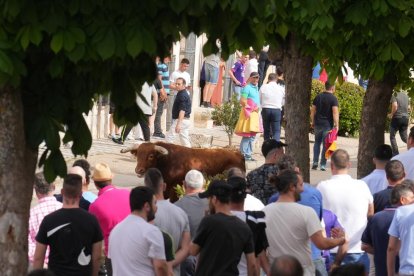 Segundo encierro de la Fiesta del Verdejo de La Seca.- J.M. LOSTAU