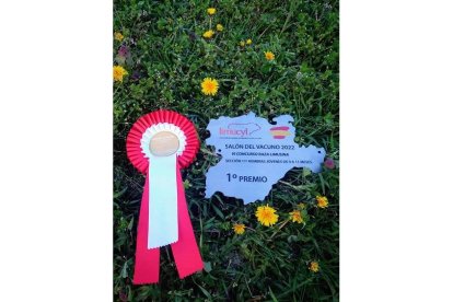 Reconocimiento al trabajo bien hecho