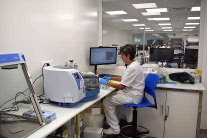 Pruebas en la empresa de inseminación / HDS