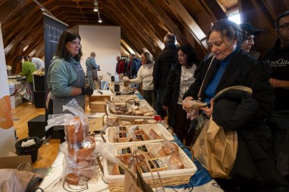 Tercera edición de la feria del queso 'Vallaqueso' en Villa del Prado - PHOTOGENIC