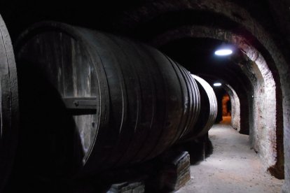 Interior de la bodega municipal de Nava del Rey. - AYTO. NAVA DEL REY