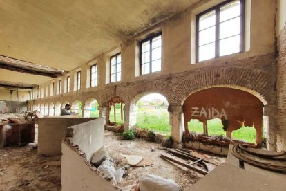 Zona central de la planta baja.-JCYL