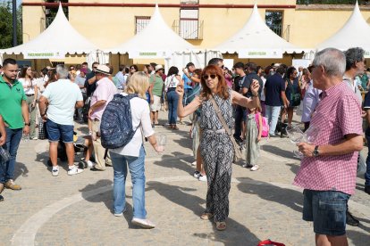 Fiesta de la Vendimia en la localidad vallisoletana de Rueda, con degustación de vinos, exposición de coches clásicos y danzas castellanas. -PHOTOGENIC