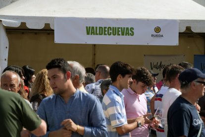 Fiesta de la Vendimia en la localidad vallisoletana de Rueda, con degustación de vinos, exposición de coches clásicos y danzas castellanas. -PHOTOGENIC