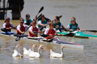 24ª Gran Premio Internacional K-4 “Ciudad de Valladolid. / PHOTOGENIC