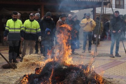 Fiesta del mondongo, matanza del cerdo en Matapozuelos. PHOTOGENIC