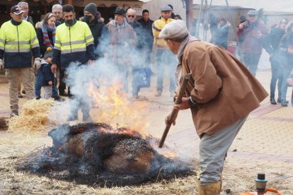 Fiesta del mondongo, matanza del cerdo en Matapozuelos. PHOTOGENIC