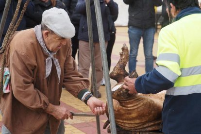 Fiesta del mondongo, matanza del cerdo en Matapozuelos. PHOTOGENIC