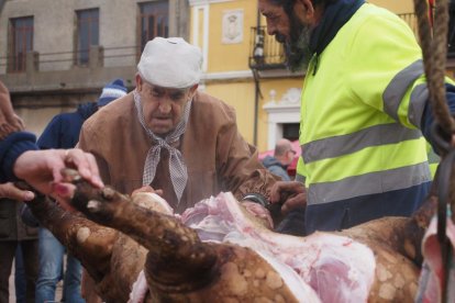 Fiesta del mondongo, matanza del cerdo en Matapozuelos. PHOTOGENIC