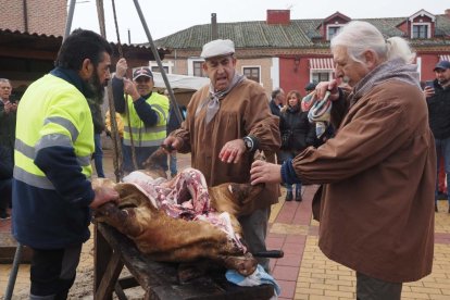 Fiesta del mondongo, matanza del cerdo en Matapozuelos. PHOTOGENIC