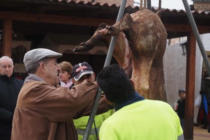 Fiesta del mondongo, matanza del cerdo en Matapozuelos. PHOTOGENIC
