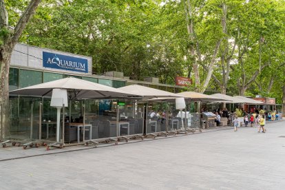 Imágenes del Gastrobar Sabores. WEB RESTAURANTE SABORES