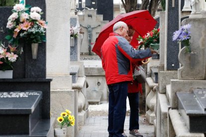 Preparativos para el Día de Todos los Santos en el Cementerio del Carmen. - J. M. LOSTAU