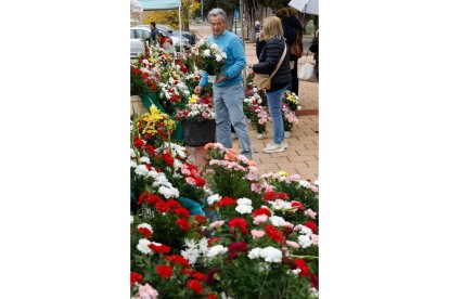 Preparativos para el Día de Todos los Santos en el Cementerio del Carmen. - J. M. LOSTAU