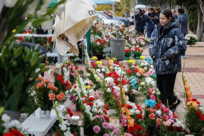 Preparativos para el Día de Todos los Santos en el Cementerio del Carmen. - J. M. LOSTAU