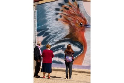 Los aves, protagonistas en los 'Murales de la Felicidad' de Pajarillos. ICAL