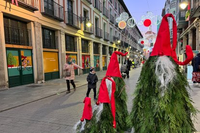 Duendes vegetales de la calle Platerías.- AVADECO