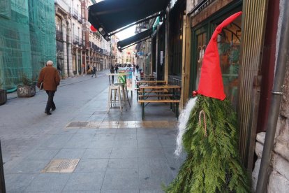 Duendes vegetales de la calle Platerías.- PHOTOGENIC