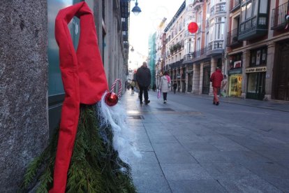 Duendes vegetales de la calle Platerías.- PHOTOGENIC