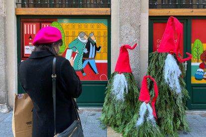 Duendes vegetales de la calle Platerías.- AVADECO
