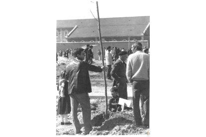 Planta de arboles en el parque de Farnesio de Las Delicias en 1987.- ARCHIVO MUNICIPAL DE VALLADOLID