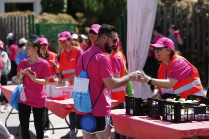46 Marcha Asprona en Valladolid. -PHOTOGENIC