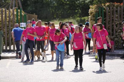 46 Marcha Asprona en Valladolid. -PHOTOGENIC