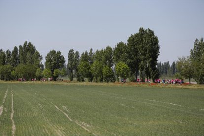Ruta hasta Renedo de Esgueva en la 46 Marcha Asprona en Valladolid. -PHOTOGENIC