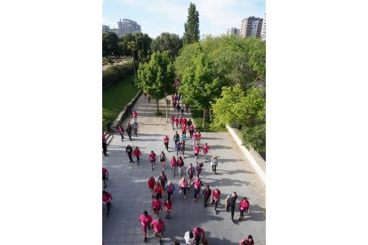 46 Marcha Asprona de Valladolid.- ICAL