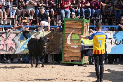 Toro del Sarmiento en La Seca (Valladolid) 2023. J. M. LOSTAU
