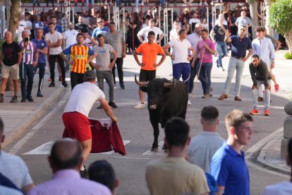 Toro del Sarmiento en La Seca (Valladolid) 2023. J. M. LOSTAU