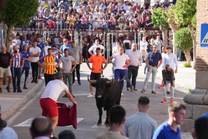 Toro del Sarmiento en La Seca (Valladolid) 2023. J. M. LOSTAU