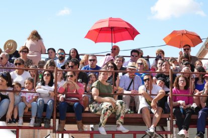 Toro del Sarmiento en La Seca (Valladolid) 2023. J. M. LOSTAU