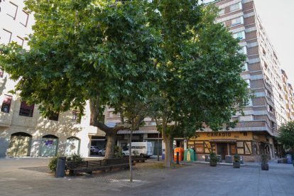 Plaza de San Miguel en la actualidad .-J.M. LOSTAU
