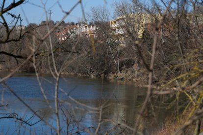 Vistas del río Pisuerga y La Overuela.- J.M. LOSTAU