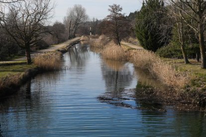 Ramal sur esclusa 41 del canal de Castilla en La Overuela.- J.M. LOSTAU
