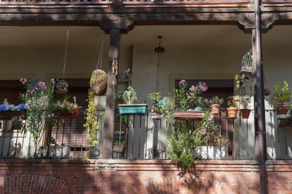 Plaza del Viejo Coso en la actualidad .-J.M. LOSTAU