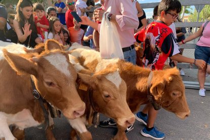 Encierro para niños en Medina del Campo. E.M.